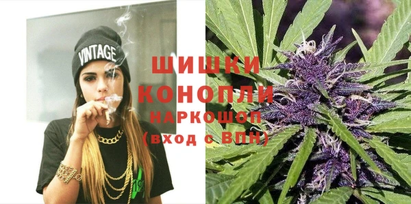 сатива Няндома