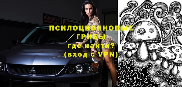 соль ск Осинники