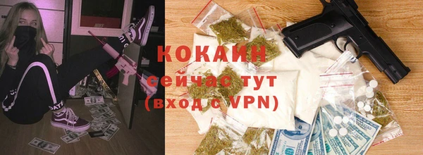 соль ск Осинники