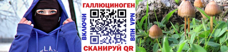 omg ONION  Боровск  Галлюциногенные грибы Psilocybine cubensis 